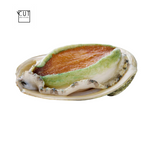 SASHIMI GRADE PUREBRED GREENLIP ABALONE (2PCS)