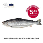 REGAL NEW ZEALAND KING SALMON (WHOLE)