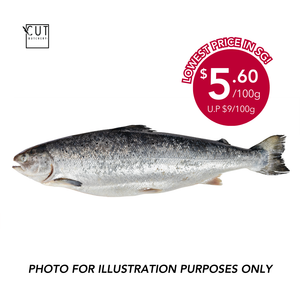 [PRE-ORDER] REGAL NEW ZEALAND KING SALMON (WHOLE)