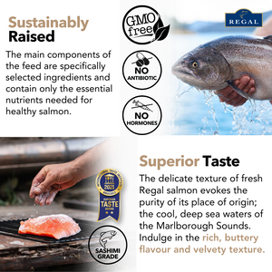 REGAL NEW ZEALAND KING SALMON (WHOLE)