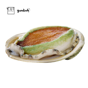 SASHIMI GRADE PUREBRED GREENLIP ABALONE (6 PCS)